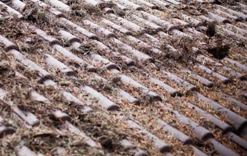 Chadwick roof cleaning companies